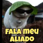 VOU DORMIR