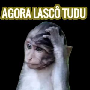 AGORA LASCO TUDU  - getsticker.com