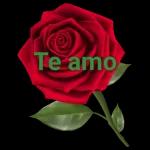 feliz dia dos namorados