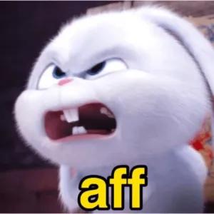 ijTIub