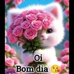 bom domingo 