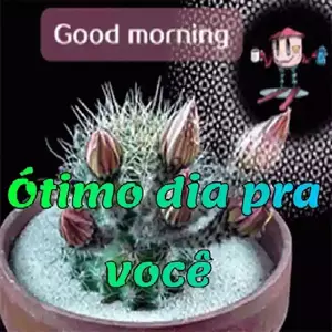 hxkTux