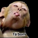 👅lingua