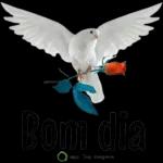 M Bom dia a app: Top Imagens