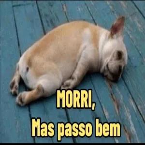 J9BLL1