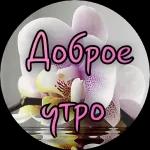Доброе утро