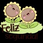 segunda feira 