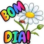 BOM DIA