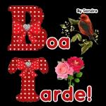 coisa fofa