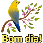 Boa у Tarde