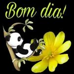 Bom Dia By Laila Elektra