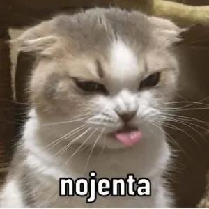 5SNobN