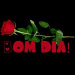 BOA TARDE!