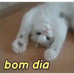 PK7kQI