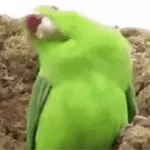 mrsvjj