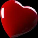 ¡No puedo vivir sin ti!💘