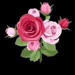 Flores 🌹🌹