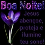  Boa Noite!Jesusabençoe,proteja eilumineteu sono!