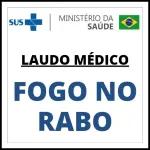 A Cobra
Vai Fuma
