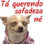 safadeza 