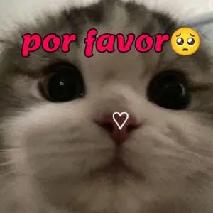 JYQzUa