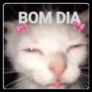 SVHsjB