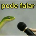 Grupo 