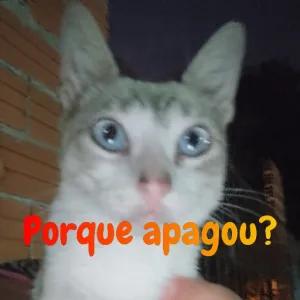 CVtaOl