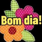 BOM DIA