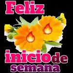 linda 