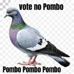 pombo