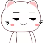 Bạn có thích mèo không?