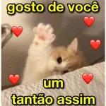 memes 
