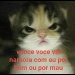 legal amei
