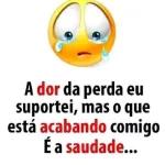 gostei