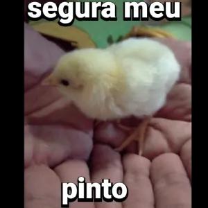 auRfxh