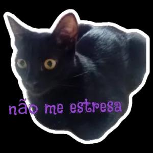 Kxzzza