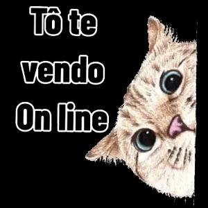 Tô te vendo vendo On line - getsticker.com