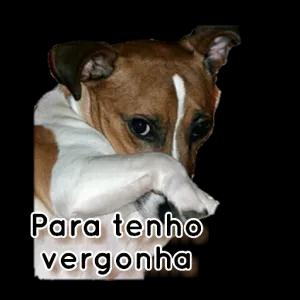 vBuEFk