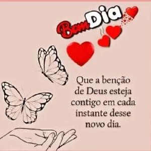 vjZgq1