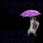 acorda