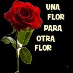 minha florzinha