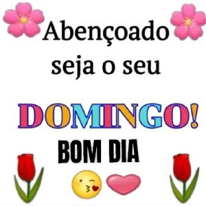 abençoado seja o seu DOMINGO! BOM DIA - getsticker.com