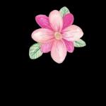 Roubou Minha figurinha