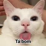 👅lingua