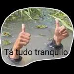 boa 🤙