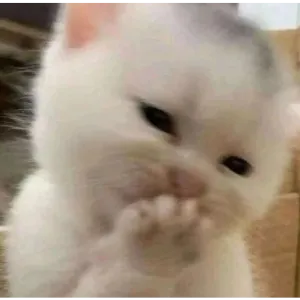 8BMRu5