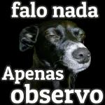 TETHEDAY POSITIVO