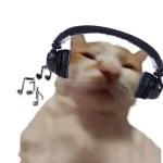 Um dia tranquilo e feliz