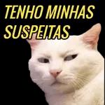 grupos